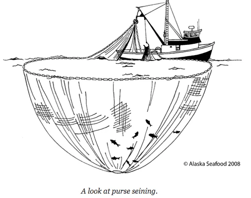 Sea Seines For Small-scale Fishing
